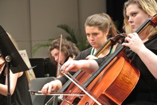 Cellist at a Performance