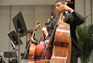 Double Bass Section at a Performance