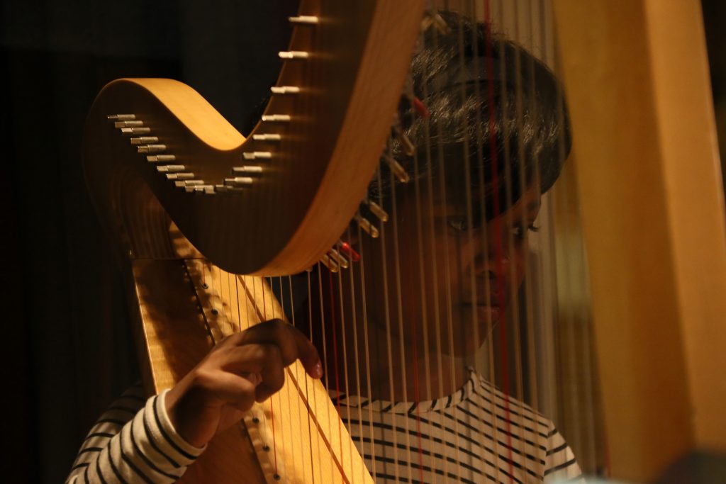 Harpist at Rehearsal
