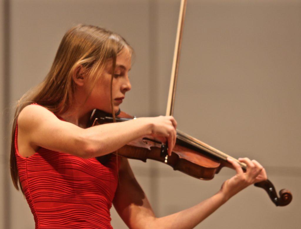 Violinist at a Performance